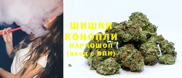 дмт Новозыбков