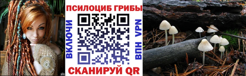 Галлюциногенные грибы ЛСД  Жиздра 